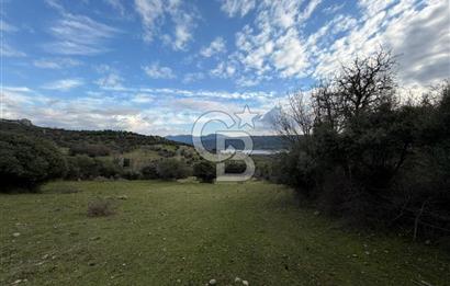 ÇANAKKALE AYVACIK DİBEKLİ KÖYÜNDE SATILIK 10.751 m² TARLA