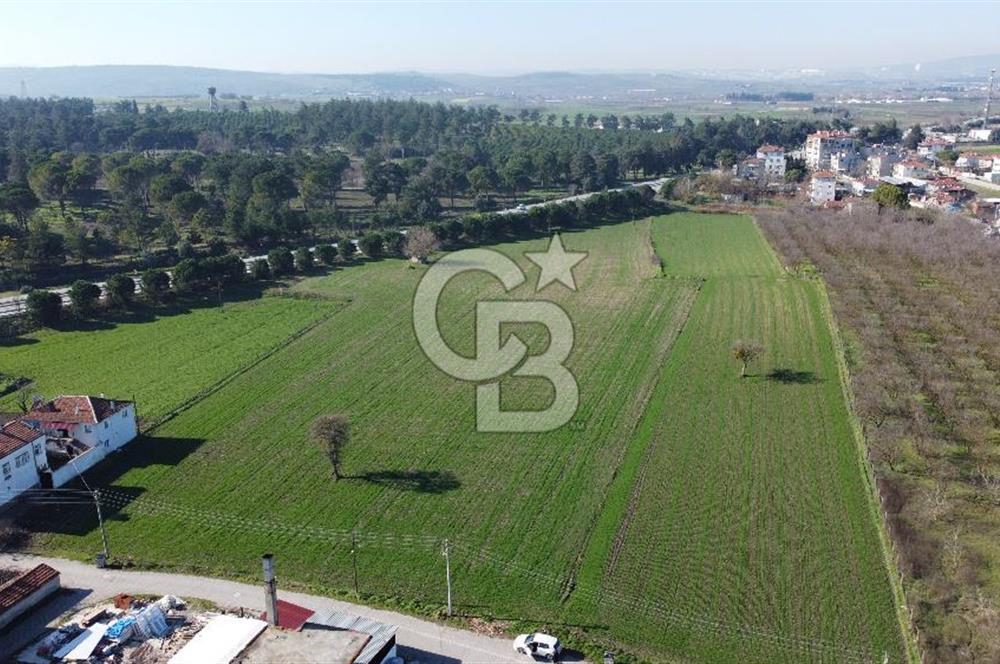 CB KİNG'DEN ATKÖY MAH. ANA YOLA CEPHE KONUMLU SATILIK TARLA