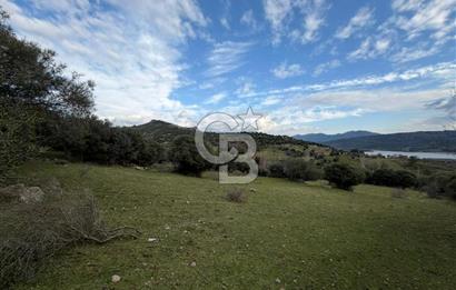 ÇANAKKALE AYVACIK DİBEKLİ KÖYÜNDE SATILIK 10.751 m² TARLA