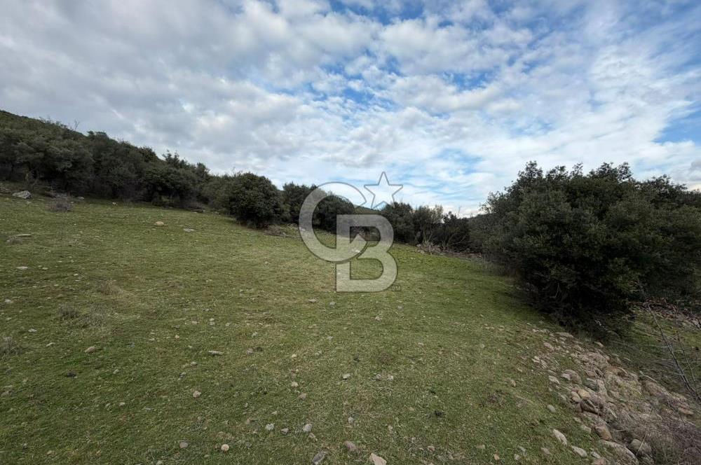 ÇANAKKALE AYVACIK DİBEKLİ KÖYÜNDE SATILIK 10.751 m² TARLA