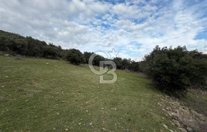 ÇANAKKALE AYVACIK DİBEKLİ KÖYÜNDE SATILIK 10.751 m² TARLA