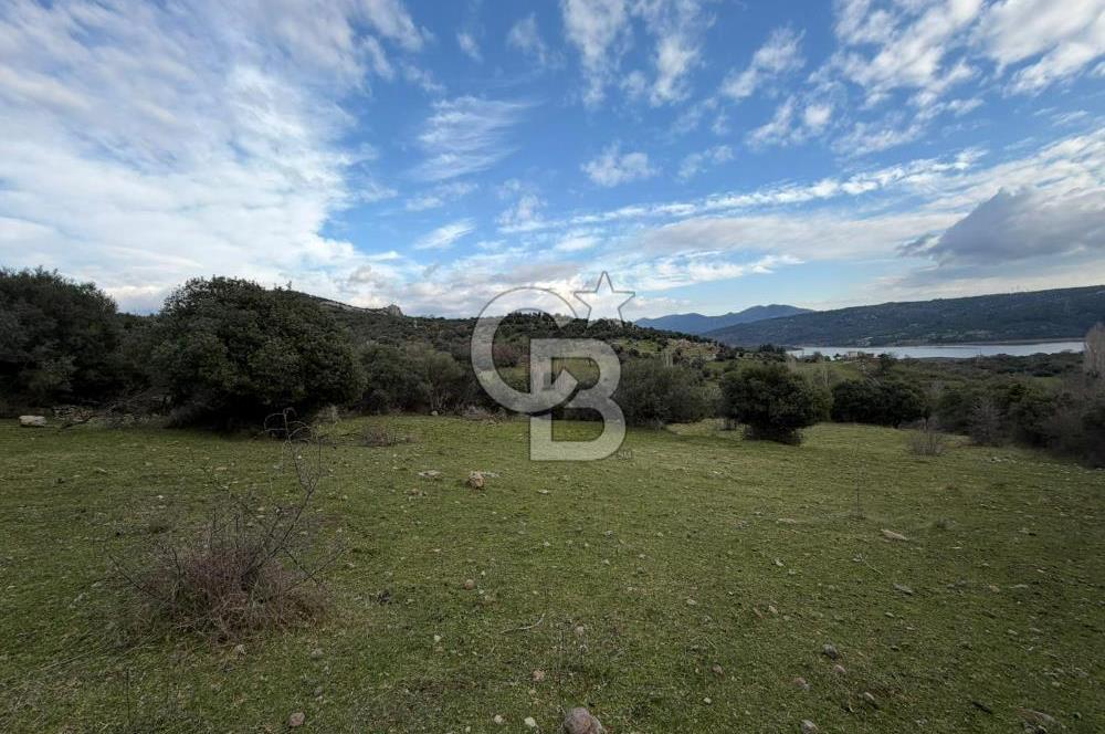 ÇANAKKALE AYVACIK DİBEKLİ KÖYÜNDE SATILIK 10.751 m² TARLA