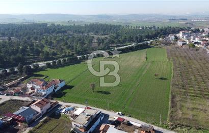 CB KİNG'DEN ATKÖY MAH. ANA YOLA CEPHE KONUMLU SATILIK TARLA