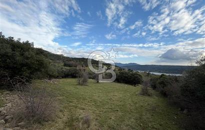 ÇANAKKALE AYVACIK DİBEKLİ KÖYÜNDE SATILIK 10.751 m² TARLA