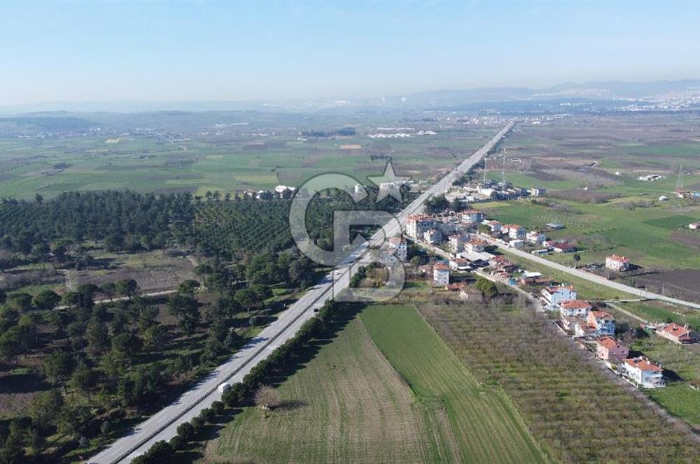 CB KİNG'DEN ATKÖY MAH. ANA YOLA CEPHE KONUMLU SATILIK TARLA