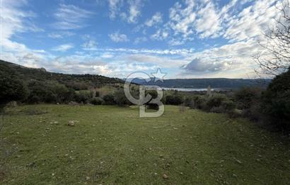 ÇANAKKALE AYVACIK DİBEKLİ KÖYÜNDE SATILIK 10.751 m² TARLA