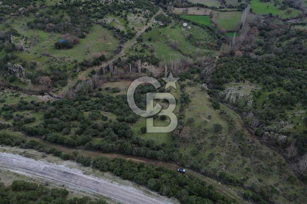 ÇANAKKALE AYVACIK DİBEKLİ KÖYÜNDE SATILIK 10.751 m² TARLA