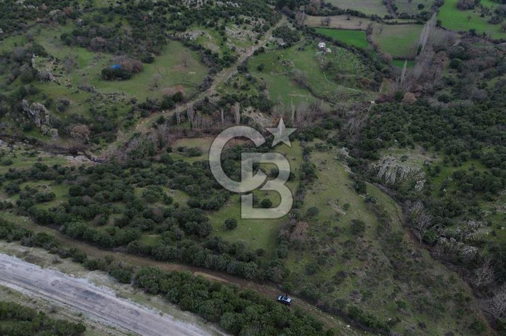 ÇANAKKALE AYVACIK DİBEKLİ KÖYÜNDE SATILIK 10.751 m² TARLA