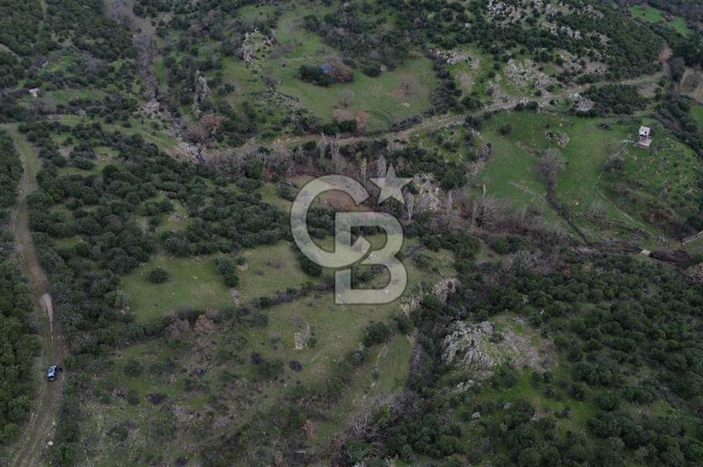 ÇANAKKALE AYVACIK DİBEKLİ KÖYÜNDE SATILIK 10.751 m² TARLA