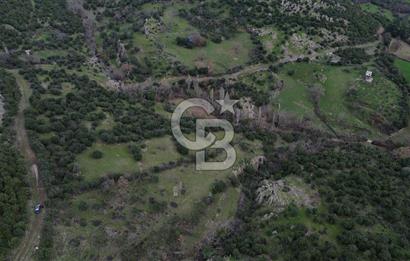 ÇANAKKALE AYVACIK DİBEKLİ KÖYÜNDE SATILIK 10.751 m² TARLA