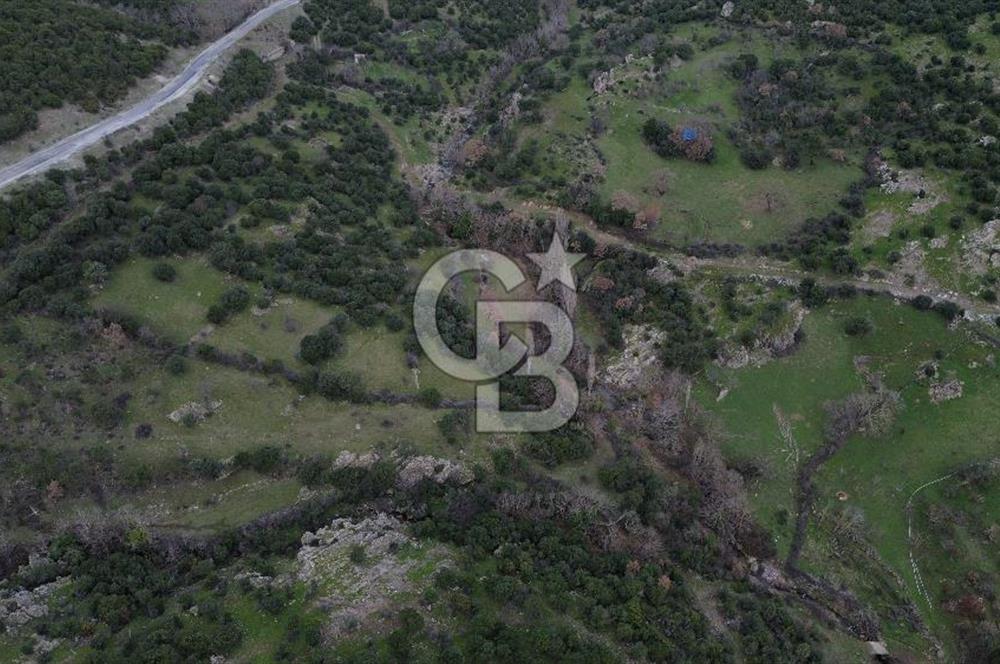 ÇANAKKALE AYVACIK DİBEKLİ KÖYÜNDE SATILIK 10.751 m² TARLA