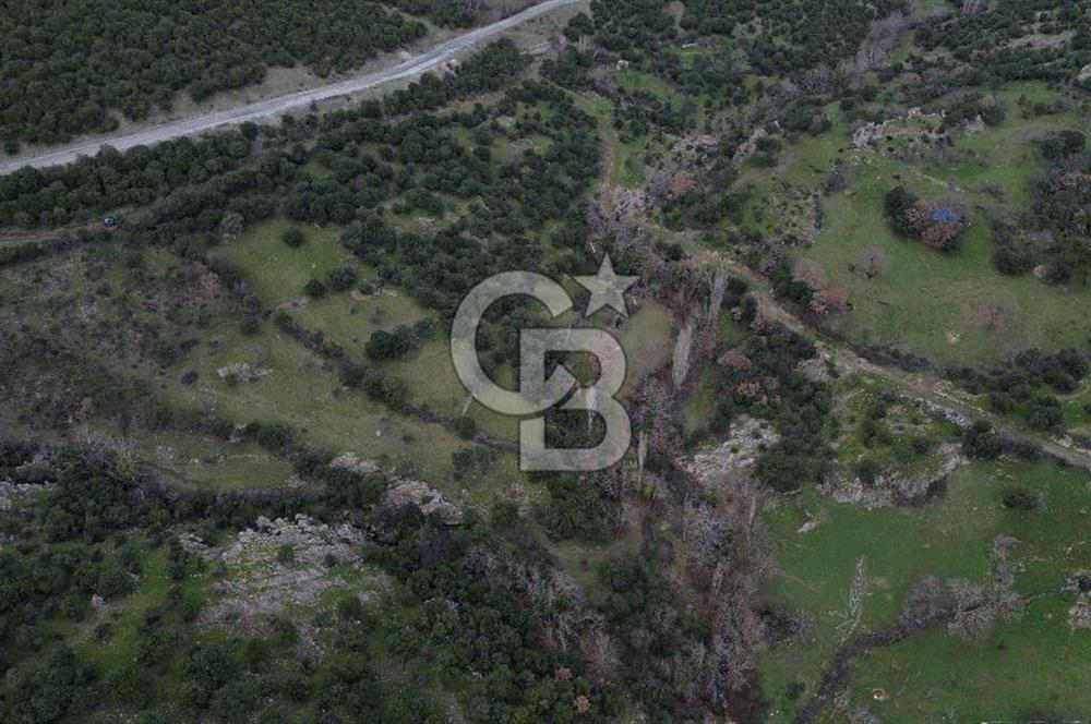 ÇANAKKALE AYVACIK DİBEKLİ KÖYÜNDE SATILIK 10.751 m² TARLA