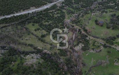 ÇANAKKALE AYVACIK DİBEKLİ KÖYÜNDE SATILIK 10.751 m² TARLA