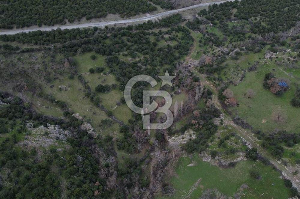 ÇANAKKALE AYVACIK DİBEKLİ KÖYÜNDE SATILIK 10.751 m² TARLA