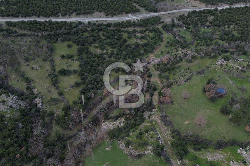 ÇANAKKALE AYVACIK DİBEKLİ KÖYÜNDE SATILIK 10.751 m² TARLA