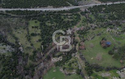 ÇANAKKALE AYVACIK DİBEKLİ KÖYÜNDE SATILIK 10.751 m² TARLA