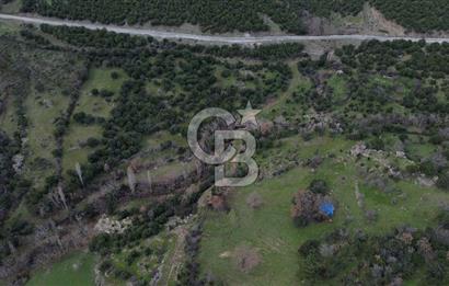 ÇANAKKALE AYVACIK DİBEKLİ KÖYÜNDE SATILIK 10.751 m² TARLA