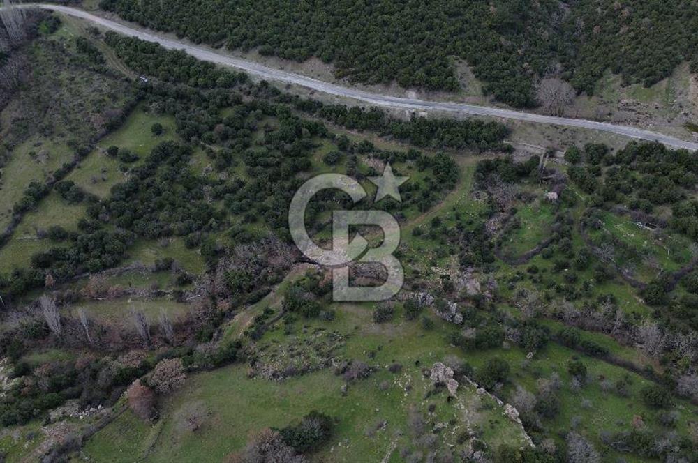 ÇANAKKALE AYVACIK DİBEKLİ KÖYÜNDE SATILIK 10.751 m² TARLA