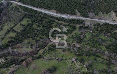 ÇANAKKALE AYVACIK DİBEKLİ KÖYÜNDE SATILIK 10.751 m² TARLA