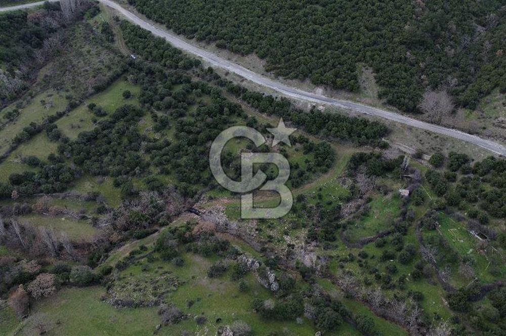ÇANAKKALE AYVACIK DİBEKLİ KÖYÜNDE SATILIK 10.751 m² TARLA