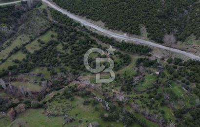 ÇANAKKALE AYVACIK DİBEKLİ KÖYÜNDE SATILIK 10.751 m² TARLA