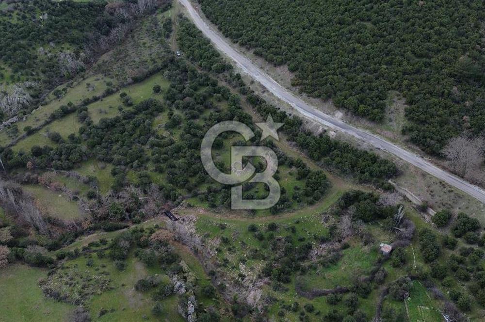 ÇANAKKALE AYVACIK DİBEKLİ KÖYÜNDE SATILIK 10.751 m² TARLA
