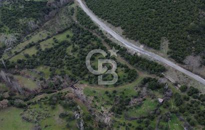 ÇANAKKALE AYVACIK DİBEKLİ KÖYÜNDE SATILIK 10.751 m² TARLA