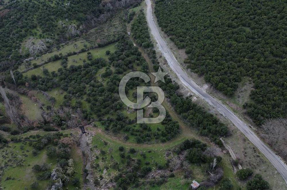 ÇANAKKALE AYVACIK DİBEKLİ KÖYÜNDE SATILIK 10.751 m² TARLA