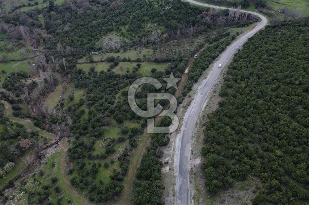 ÇANAKKALE AYVACIK DİBEKLİ KÖYÜNDE SATILIK 10.751 m² TARLA