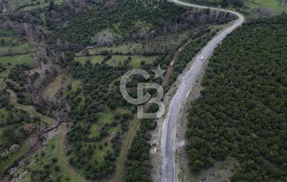 ÇANAKKALE AYVACIK DİBEKLİ KÖYÜNDE SATILIK 10.751 m² TARLA