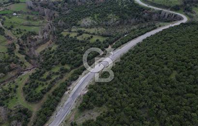 ÇANAKKALE AYVACIK DİBEKLİ KÖYÜNDE SATILIK 10.751 m² TARLA