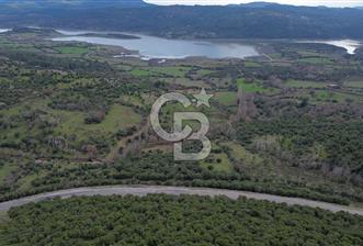 ÇANAKKALE AYVACIK DİBEKLİ KÖYÜNDE SATILIK 10.751 m² TARLA - 1 - 328651