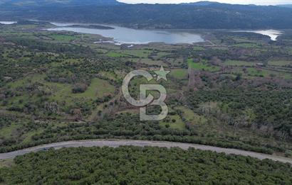 ÇANAKKALE AYVACIK DİBEKLİ KÖYÜNDE SATILIK 10.751 m² TARLA