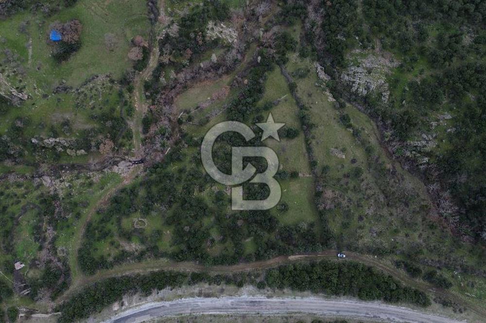 ÇANAKKALE AYVACIK DİBEKLİ KÖYÜNDE SATILIK 10.751 m² TARLA