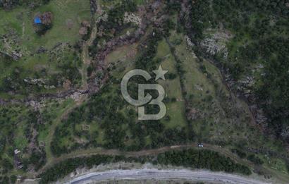 ÇANAKKALE AYVACIK DİBEKLİ KÖYÜNDE SATILIK 10.751 m² TARLA