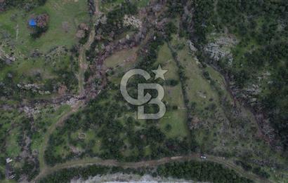 ÇANAKKALE AYVACIK DİBEKLİ KÖYÜNDE SATILIK 10.751 m² TARLA