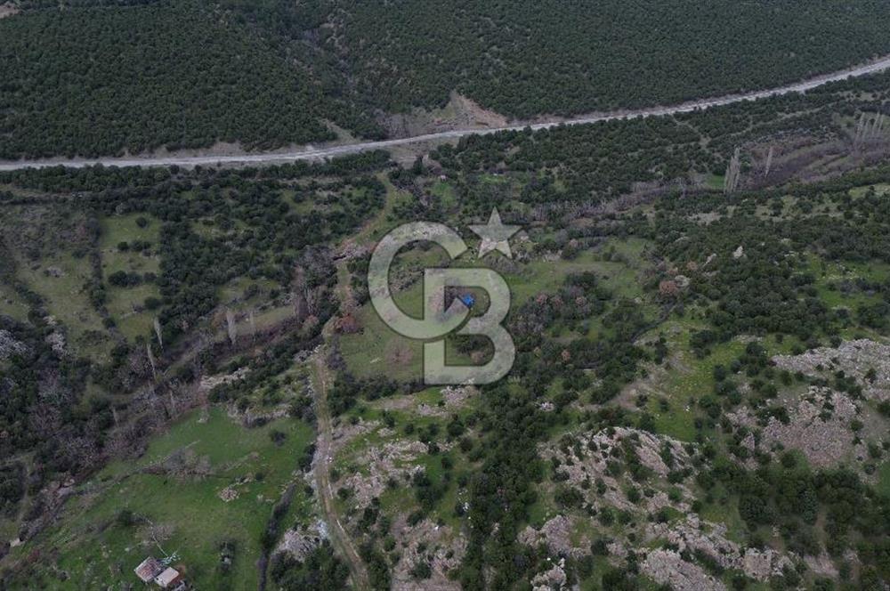 ÇANAKKALE AYVACIK DİBEKLİ KÖYÜNDE SATILIK 10.751 m² TARLA