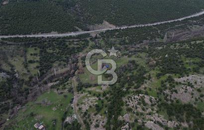 ÇANAKKALE AYVACIK DİBEKLİ KÖYÜNDE SATILIK 10.751 m² TARLA