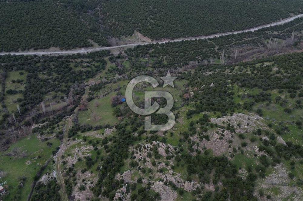 ÇANAKKALE AYVACIK DİBEKLİ KÖYÜNDE SATILIK 10.751 m² TARLA