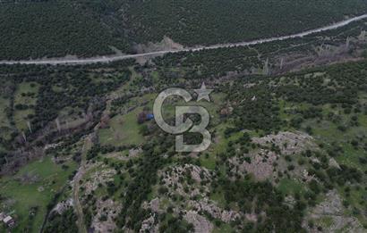 ÇANAKKALE AYVACIK DİBEKLİ KÖYÜNDE SATILIK 10.751 m² TARLA