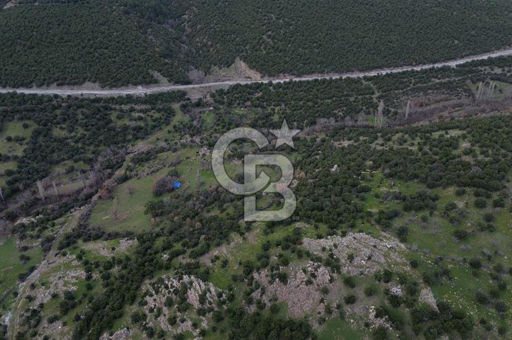 ÇANAKKALE AYVACIK DİBEKLİ KÖYÜNDE SATILIK 10.751 m² TARLA