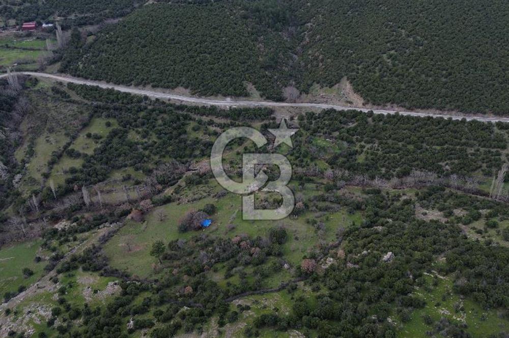 ÇANAKKALE AYVACIK DİBEKLİ KÖYÜNDE SATILIK 10.751 m² TARLA