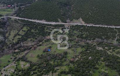 ÇANAKKALE AYVACIK DİBEKLİ KÖYÜNDE SATILIK 10.751 m² TARLA