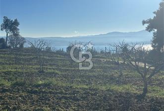 Gelibolu Burhanlı'da Yatırımlık Büyük Fırsat Arsa!! - 10 - 328711