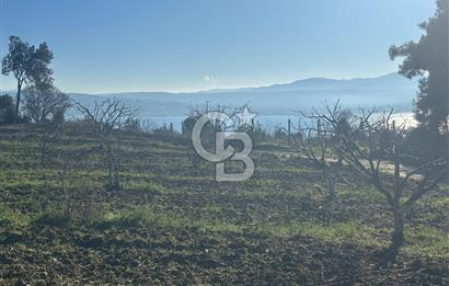 Gelibolu Burhanlı'da Yatırımlık Büyük Fırsat Arsa!!