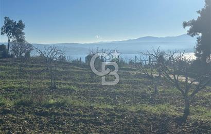 Gelibolu Burhanlı'da Yatırımlık Büyük Fırsat Arsa!!