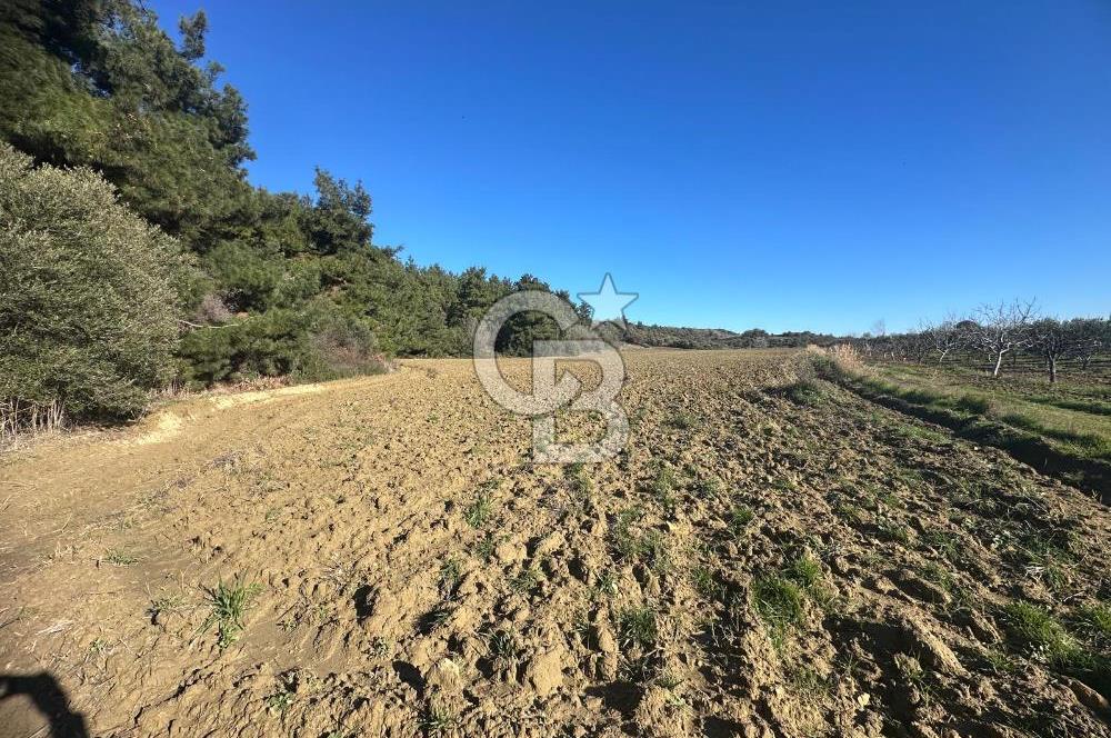 Gelibolu Burhanlı'da Yatırımlık Büyük Fırsat Arsa!!