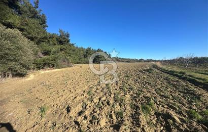 Gelibolu Burhanlı'da Yatırımlık Büyük Fırsat Arsa!!