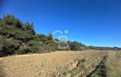 Gelibolu Burhanlı'da Yatırımlık Büyük Fırsat Arsa!!