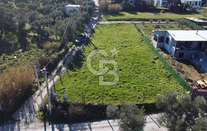 YUKARIKIZILCA KÖŞE PARSEL TURİZM PLANI İÇİNDE SATILIK BAĞ 